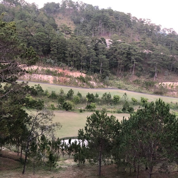 nguyenknd